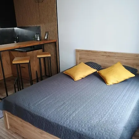Apartament Kozigrod Tczew Exterior photo